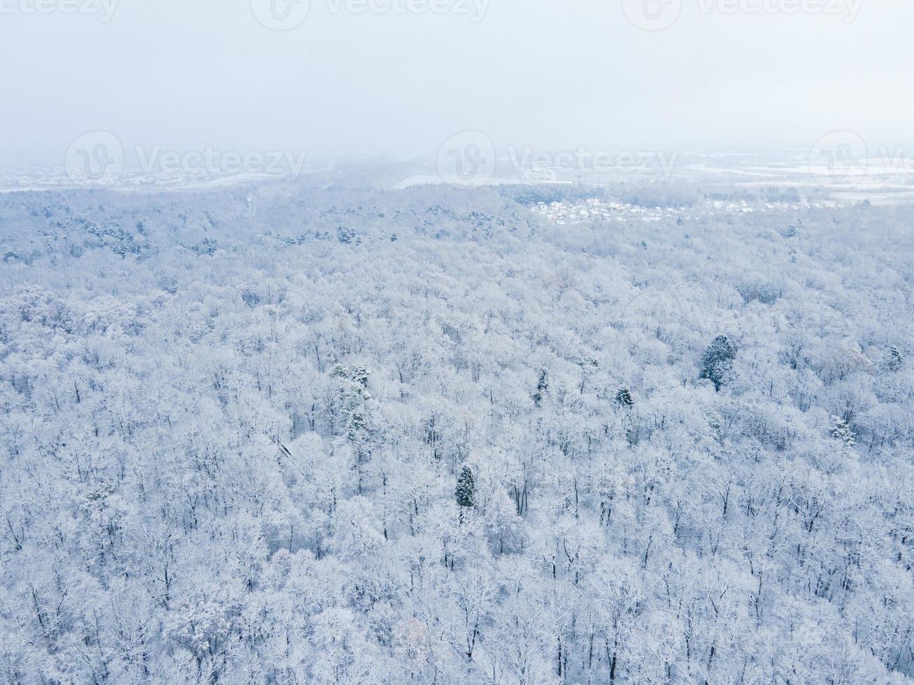 vista superior da floresta coberta de neve com galhos brancos foto
