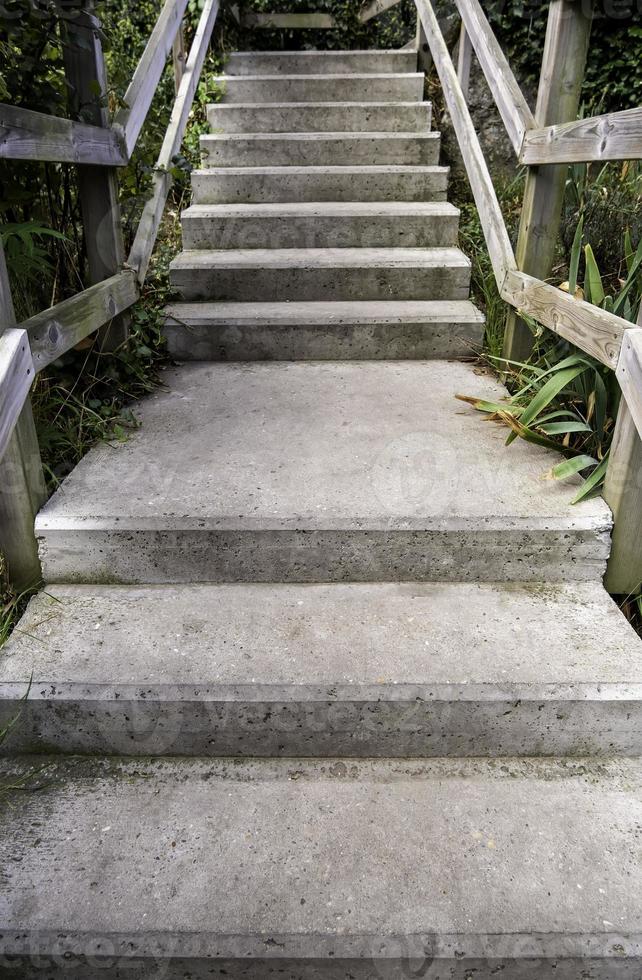 escadas em um caminho na floresta foto