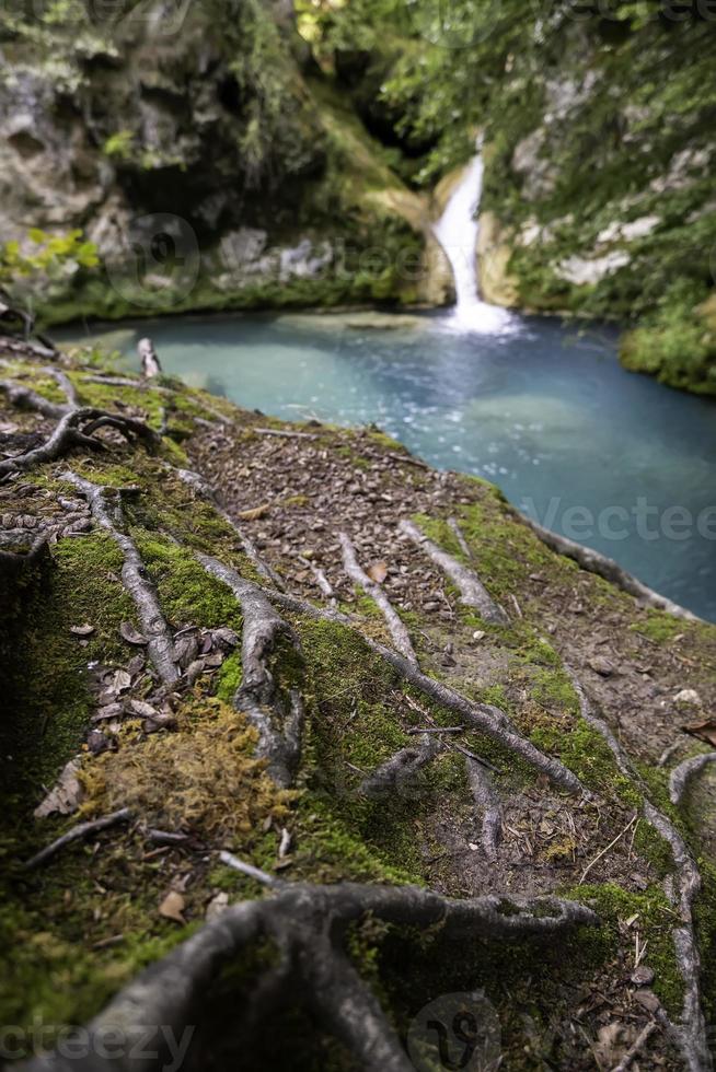 cachoeira em uma floresta selvagem foto