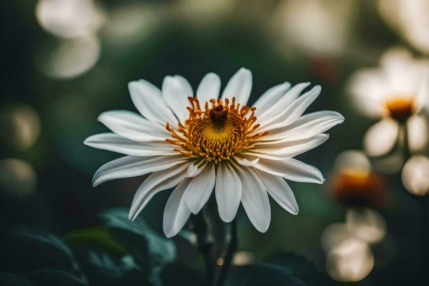 ai gerado uma branco flor com uma amarelo Centro foto