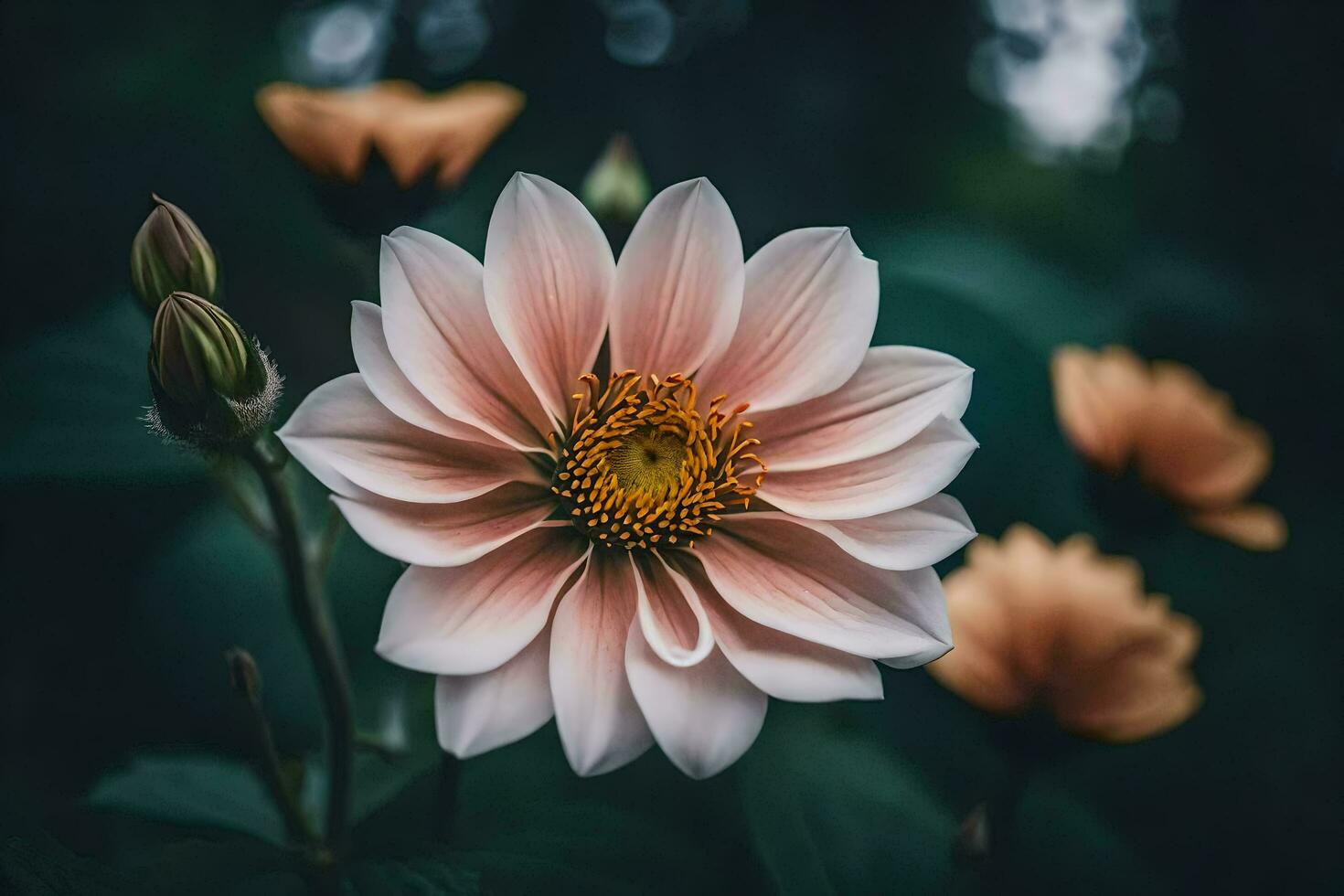 ai gerado uma fechar acima do uma Rosa flor foto