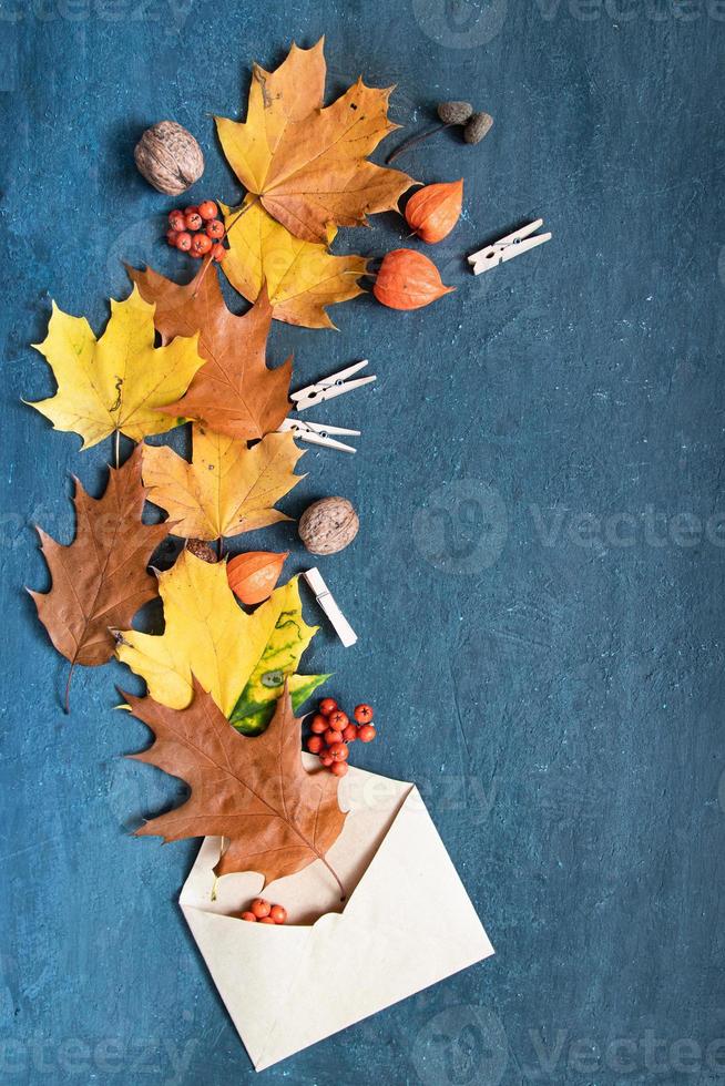 folhas de outono laranjas planas e physalis em um fundo escuro foto