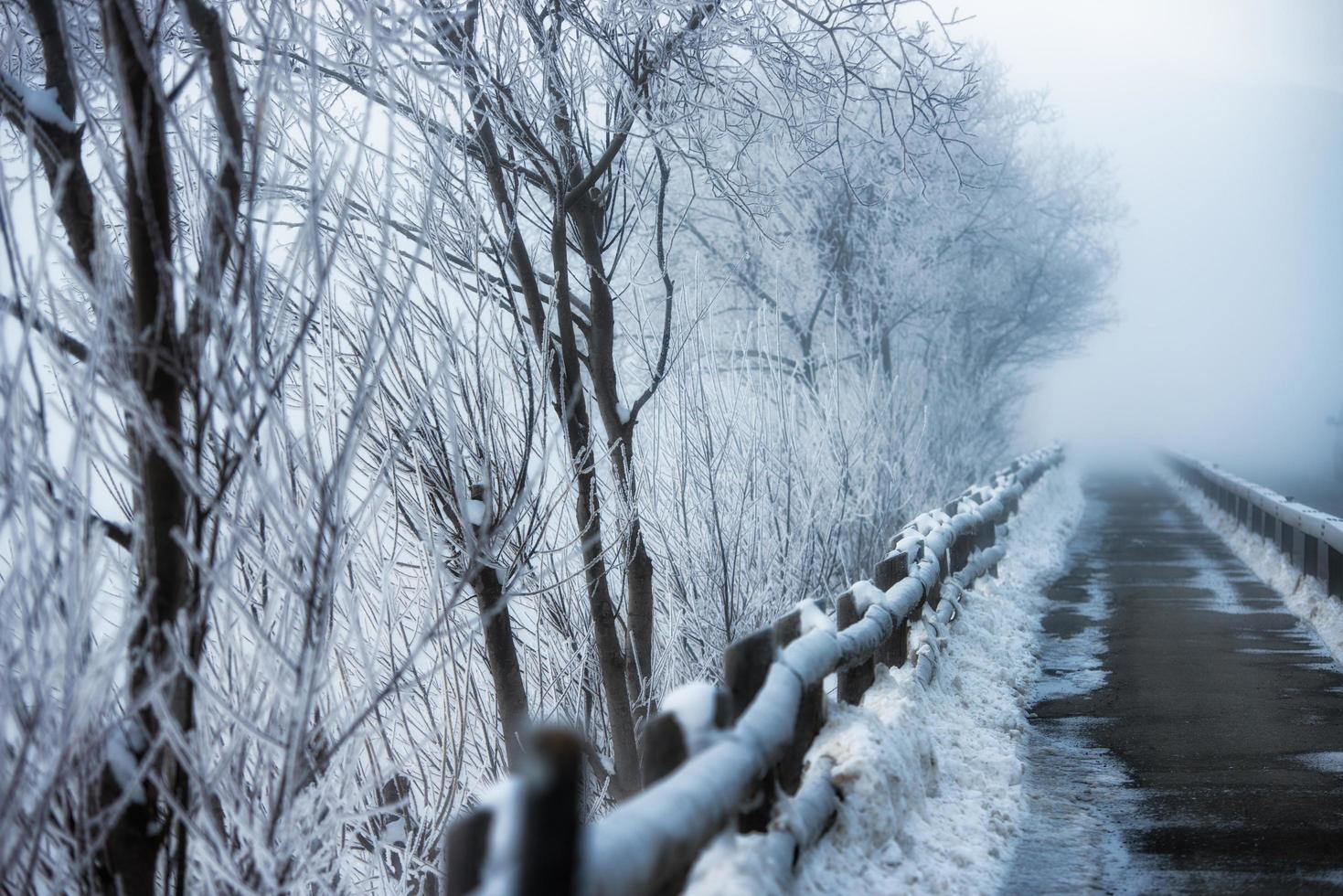 passagem para a geada de inverno foto