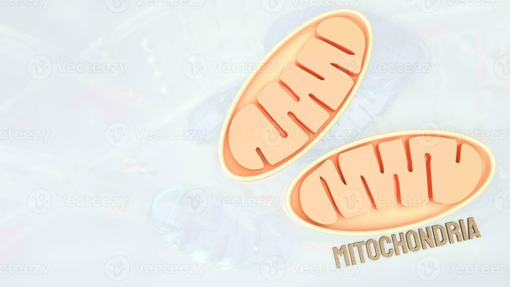 a mitocôndria para sci ou saúde conceito 3d Renderização. foto