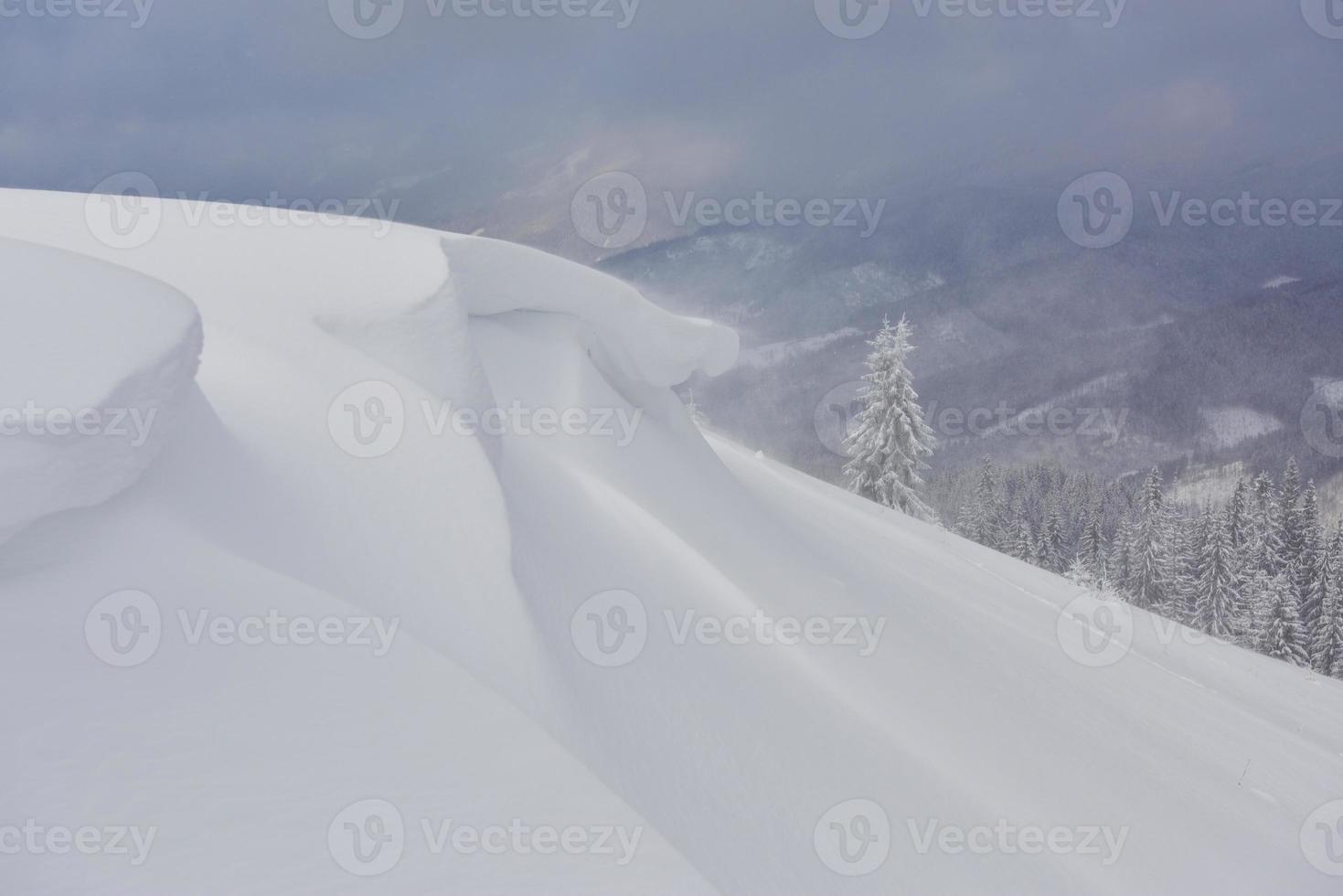 bela paisagem de inverno com árvores cobertas de neve e cornija de neve foto