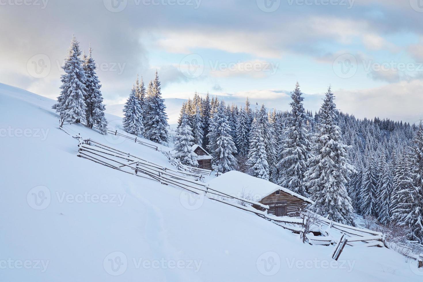 fantástica paisagem de inverno, os degraus que levam à cabana. evento mágico em dia gelado. em antecipação ao feriado. cenas dramáticas. cárpato, ucrânia, europa foto