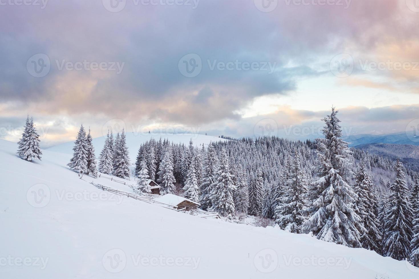 cabana de madeira aconchegante no alto das montanhas nevadas. grandes pinheiros no fundo. pastor kolyba abandonado. dia nublado. montanhas dos cárpatos, ucrânia, europa foto