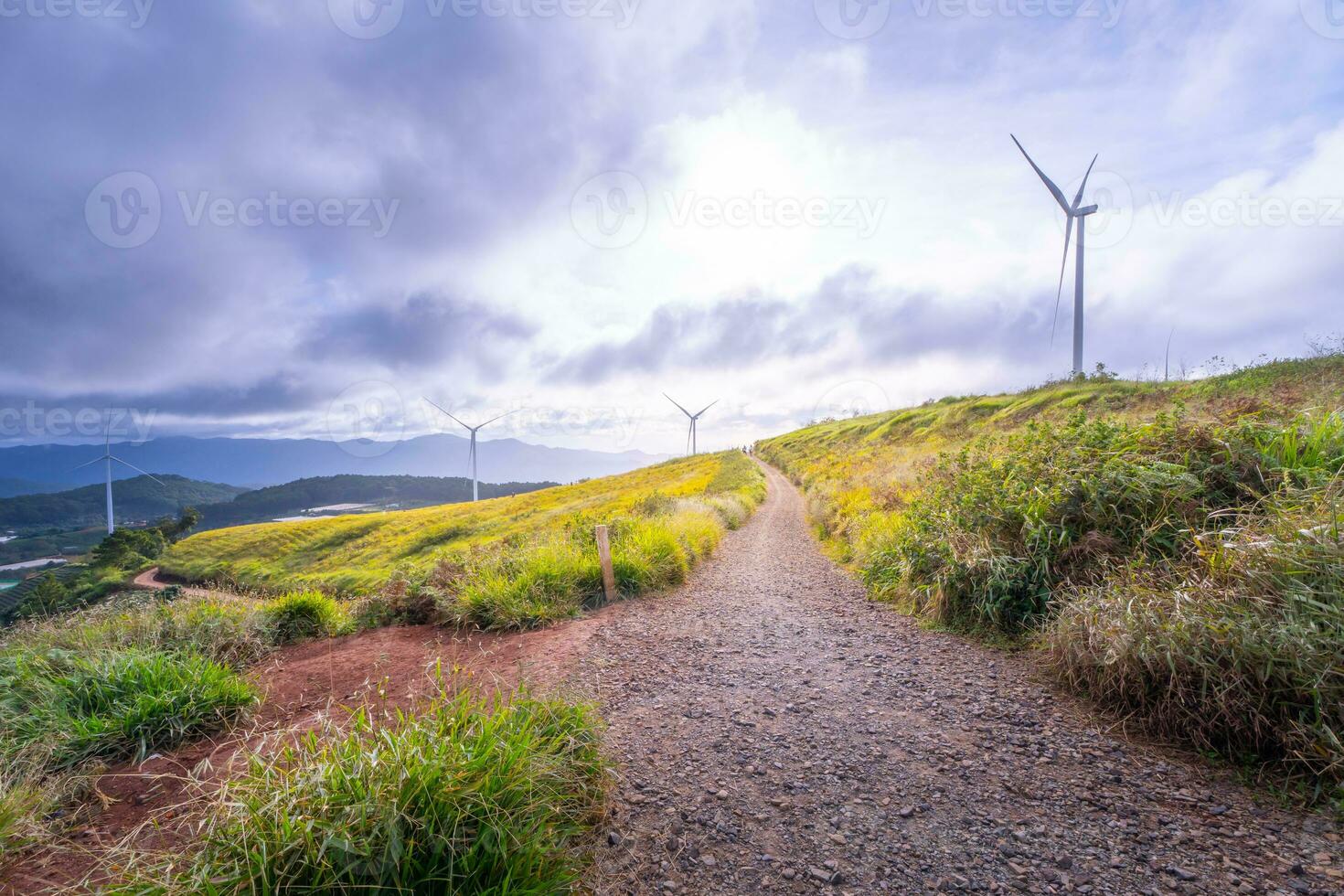 lindo panorama dentro a manhã às cau isso, da lat cidade, eu sou dong província. vento poder em chá colina, manhã cenário em a encosta do chá plantado foto