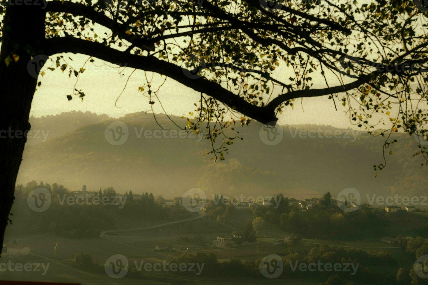 outono paisagens do a piemontês Langhe com a brilhante cores do outono dentro novembro foto