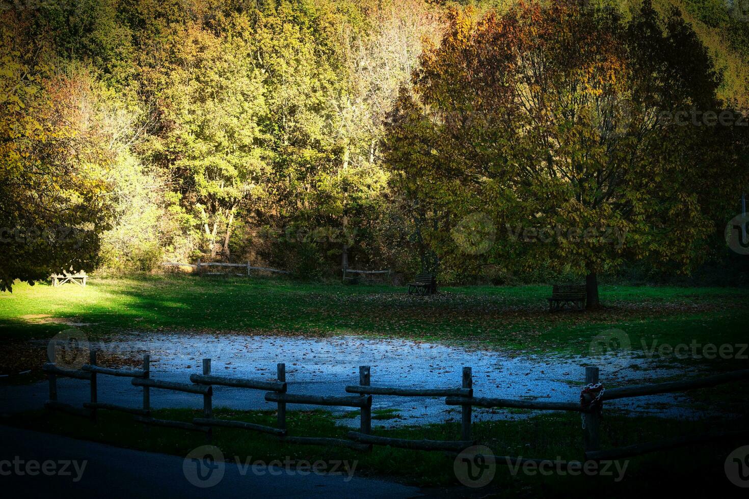 outono paisagens do a piemontês Langhe com a brilhante cores do outono dentro novembro foto