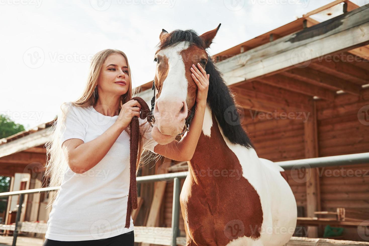 vamos dar uma corrida. mulher feliz com seu cavalo no rancho durante o dia foto