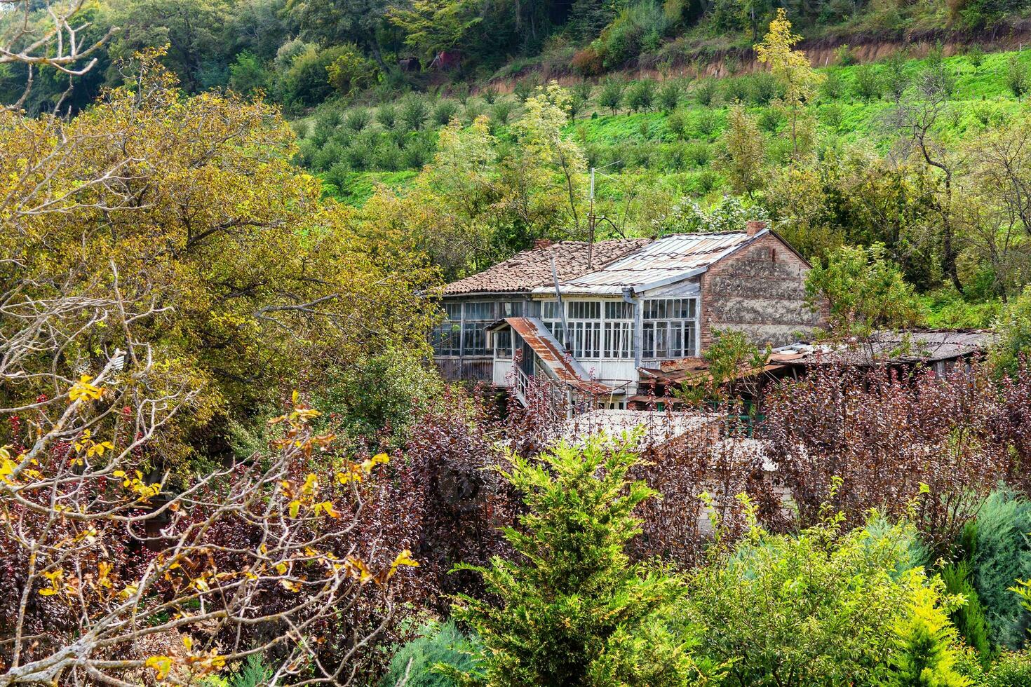 Pomar e rural casa dentro Vila dentro kakheti foto