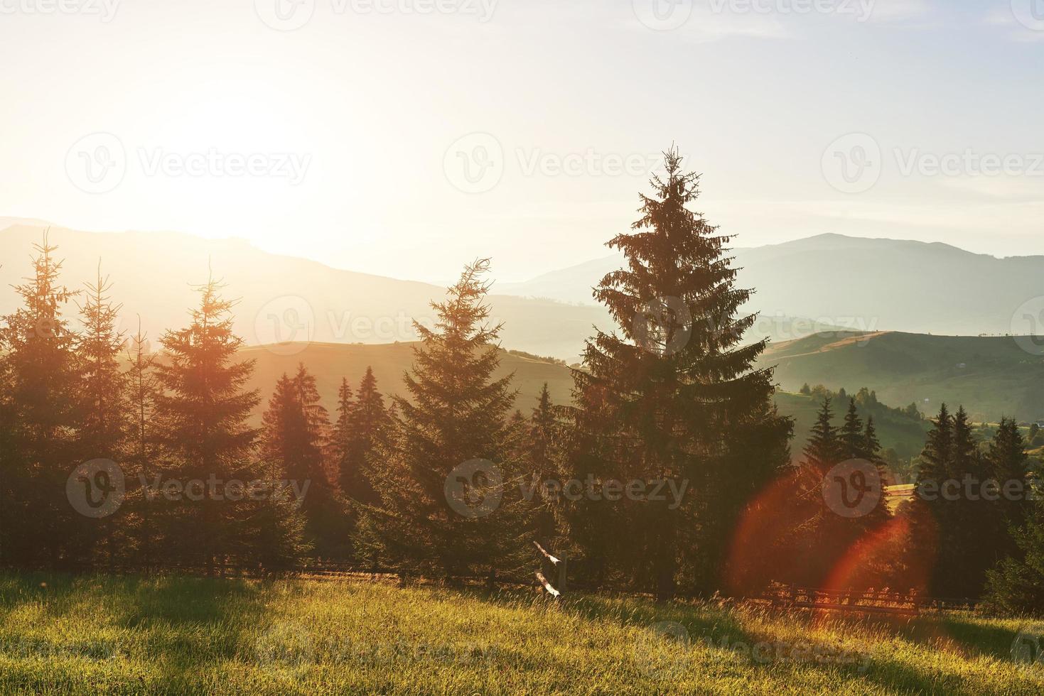 bela paisagem do nascer do sol de outono nas montanhas dos Cárpatos, viagem pela Europa, oeste da Ucrânia, parque nacional dos Cárpatos, mundo maravilhoso, papel de parede de fundo de paisagem foto