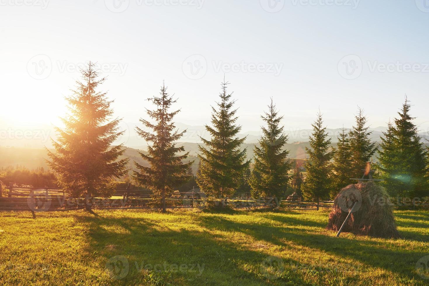 bela paisagem do nascer do sol de outono nas montanhas dos Cárpatos, viagem pela Europa, oeste da Ucrânia, parque nacional dos Cárpatos, mundo maravilhoso, papel de parede de fundo de paisagem foto