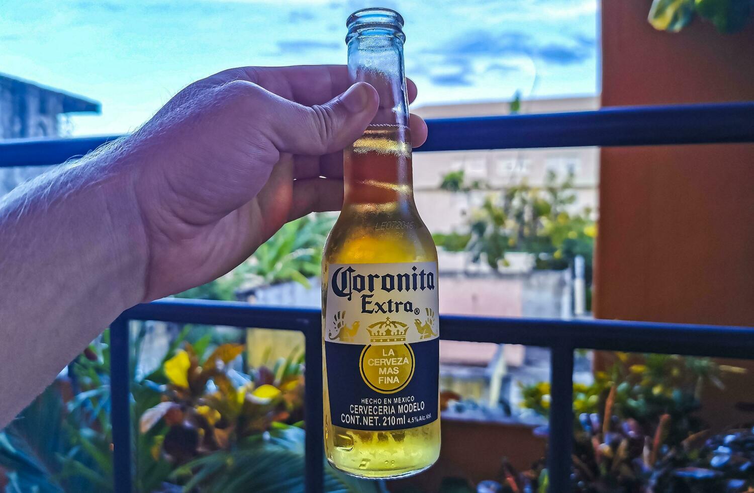 playa del carmen quintana roo México 2022 corona Cerveja garrafa garrafas pode latas playa del carmen México. foto