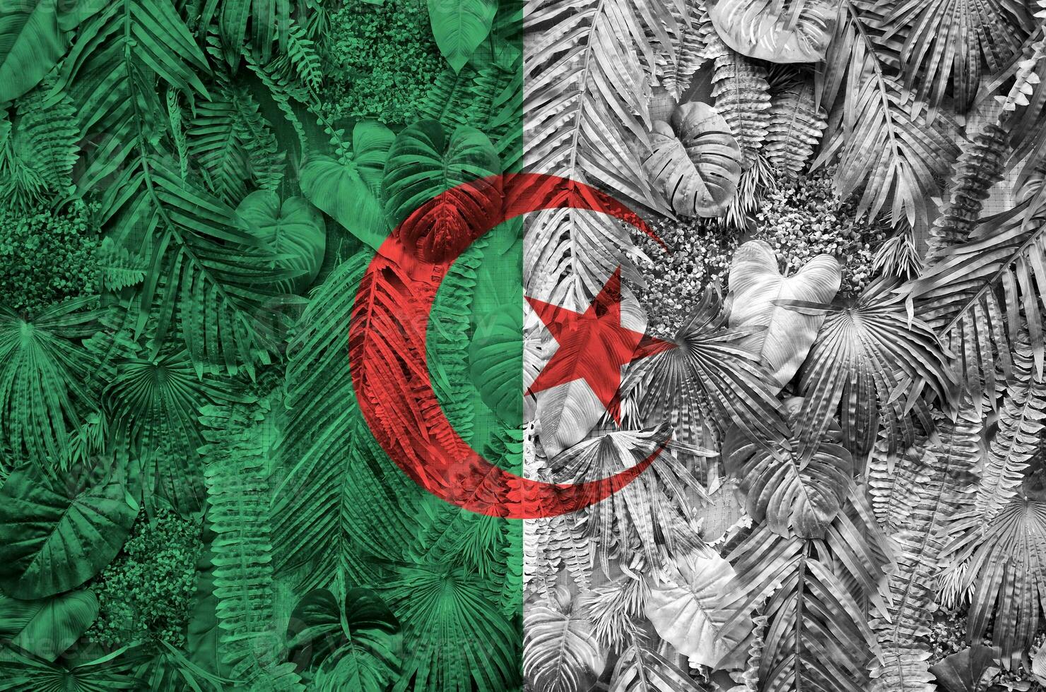 Argélia bandeira retratado em muitos folhas do monstera Palma árvores na moda elegante pano de fundo foto