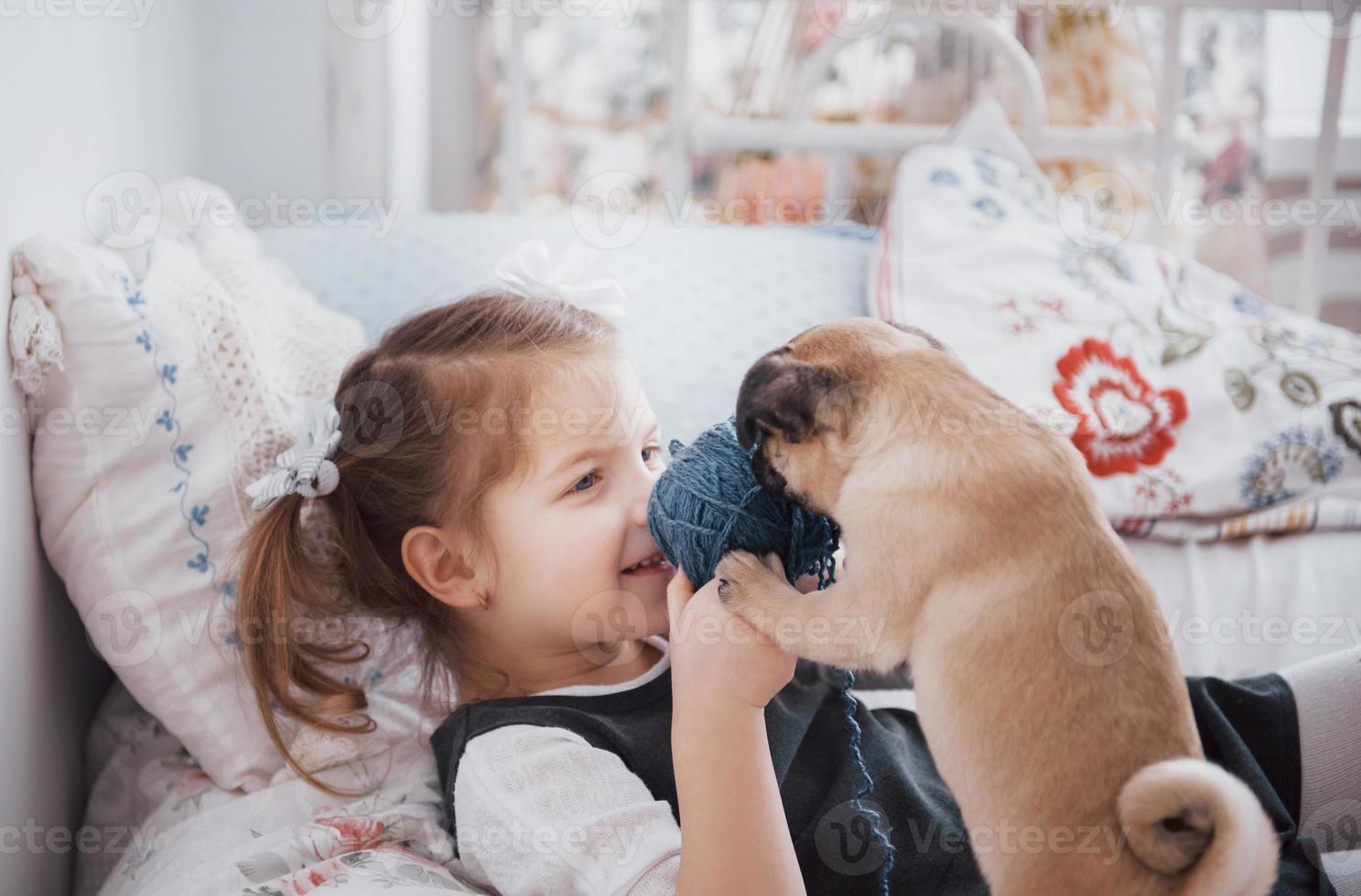 adorável garotinha alimentando o pug fofo. ela comprou um cachorrinho. o melhor amigo foto