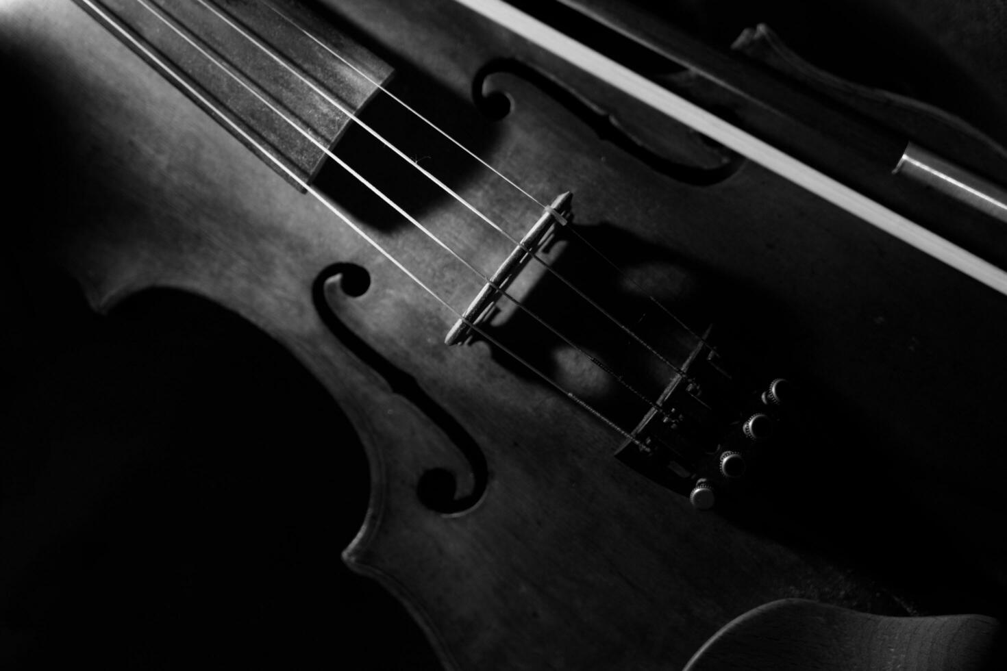 fechar Visão do uma violino cordas e ponte foto