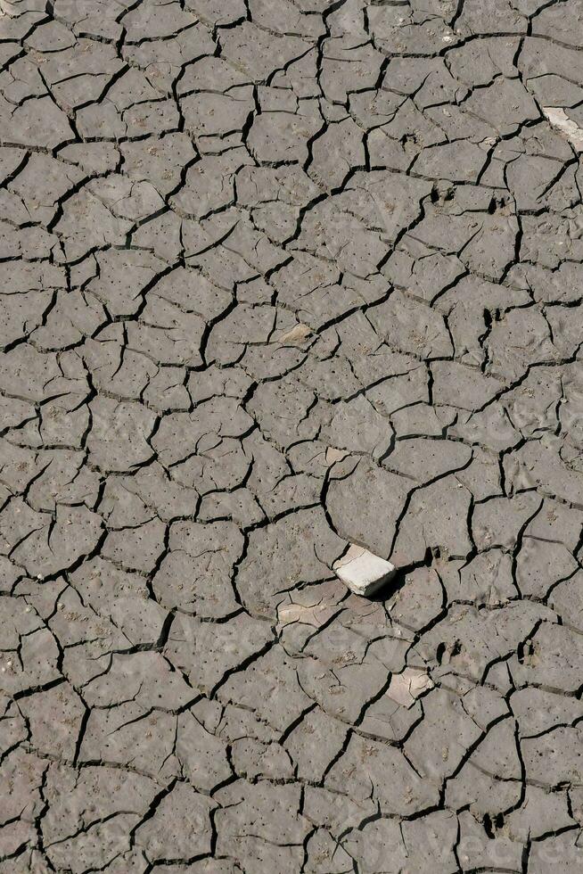 uma seco rachado terra superfície foto