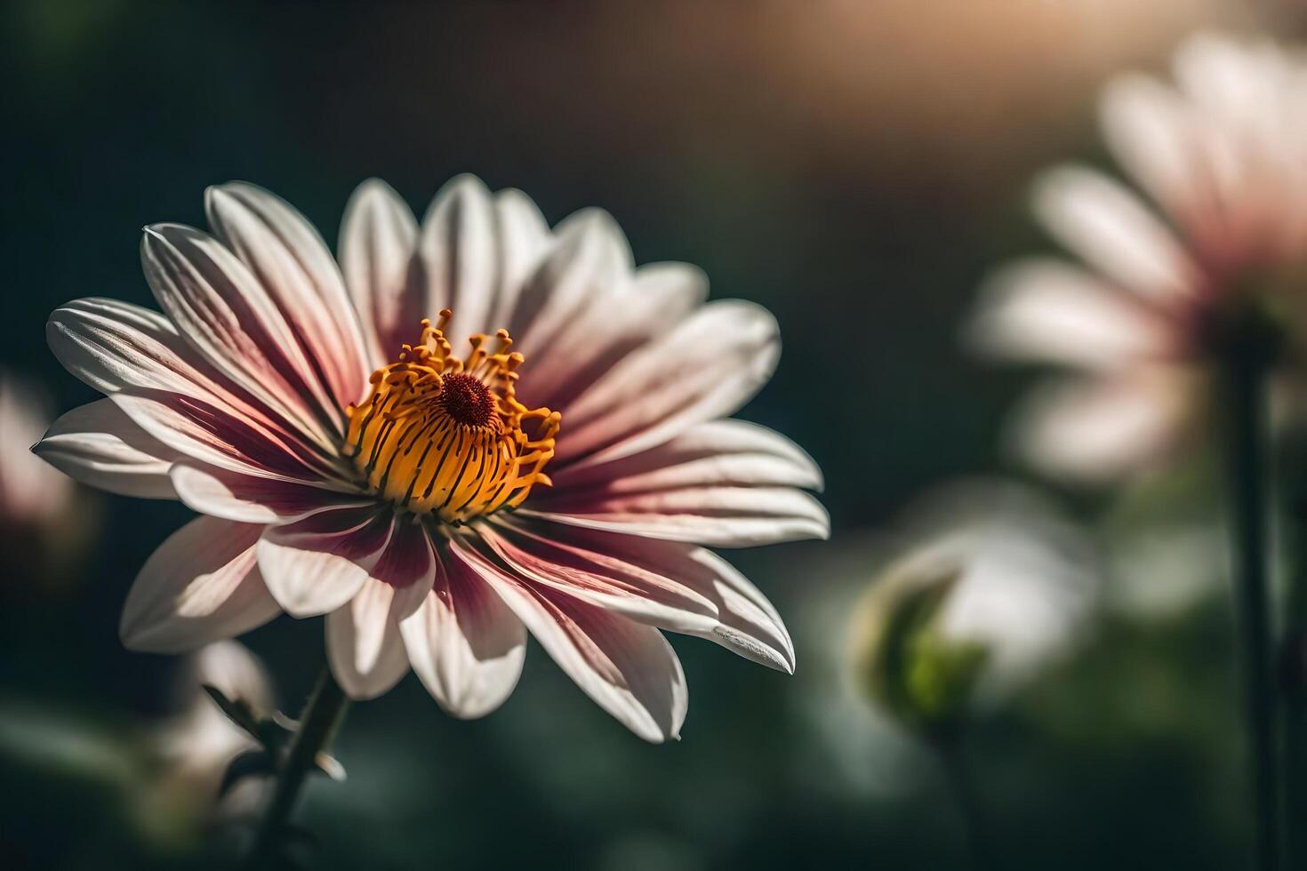 ai gerado uma fechar acima do uma flor com a Sol brilhando foto