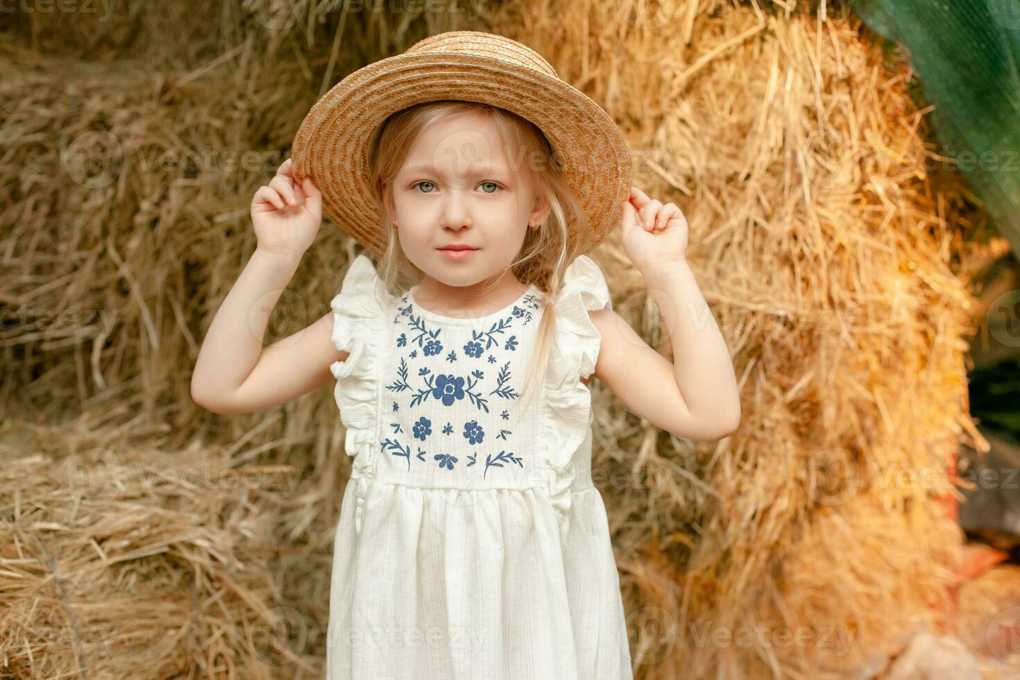 fofa pequeno Loiras menina dentro luz vestir com bordado e Palha chapéu em pé em palheiro foto
