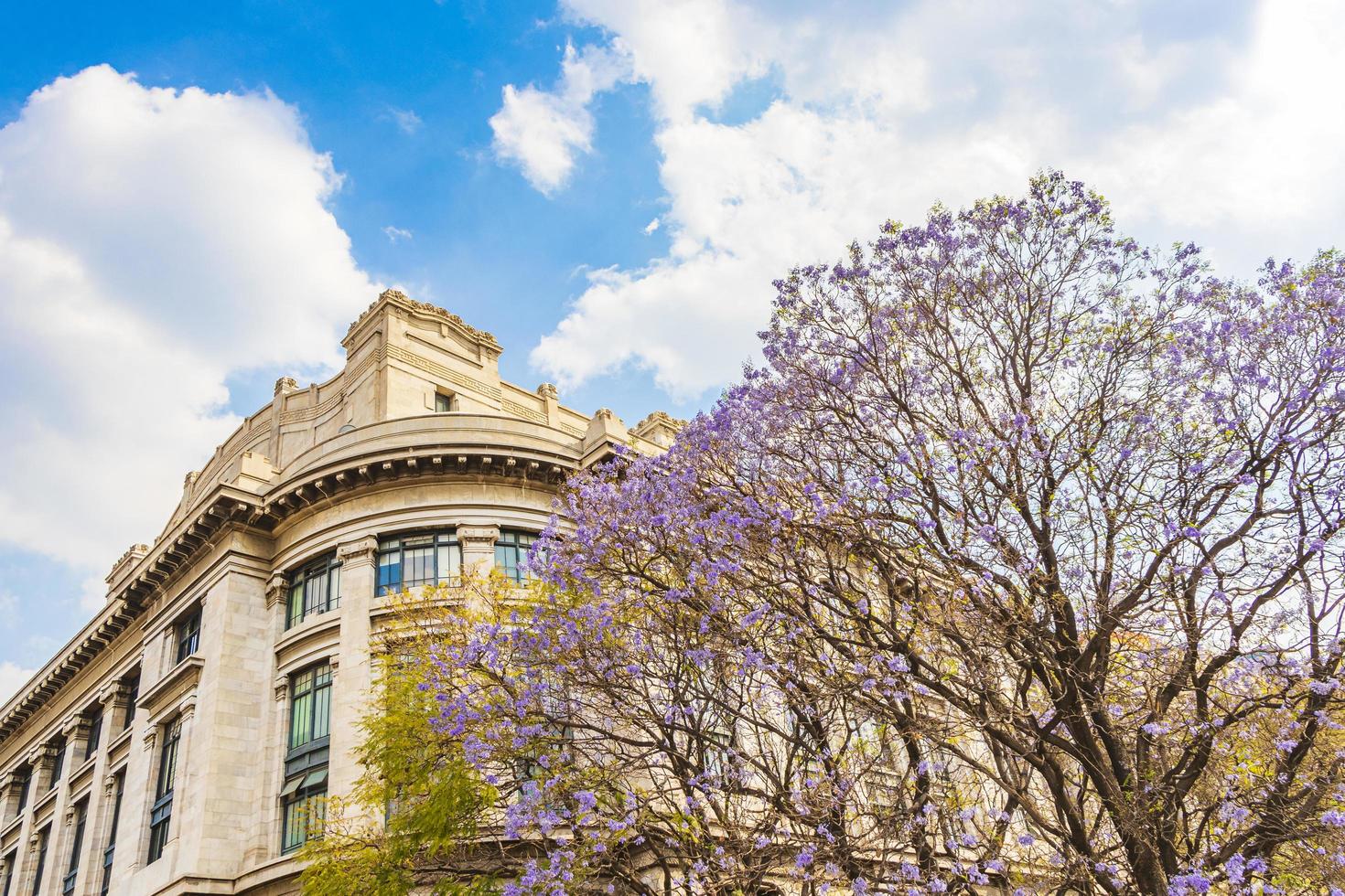 o palácio de belas artes da cidade do méxico foto