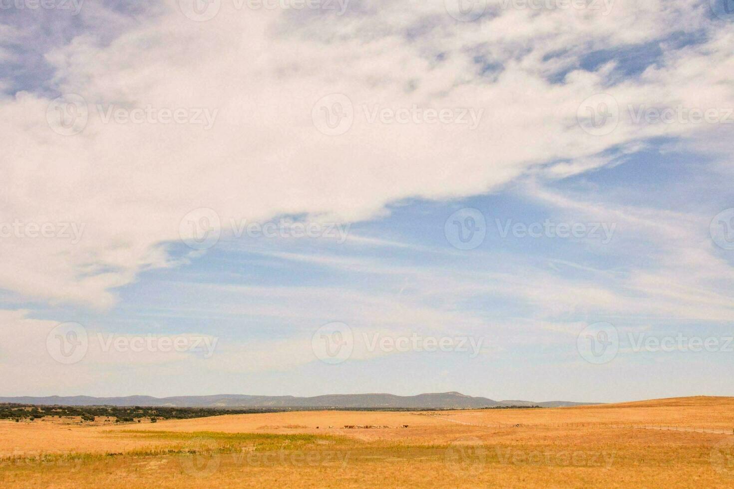uma campo com uma azul céu e nuvens foto