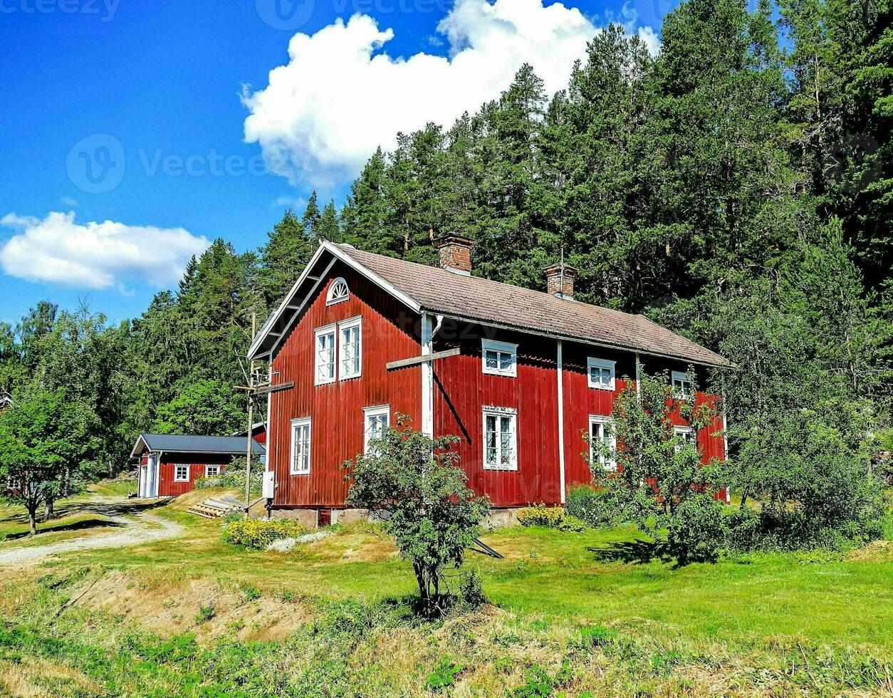 uma vermelho casa dentro a meio do uma floresta foto