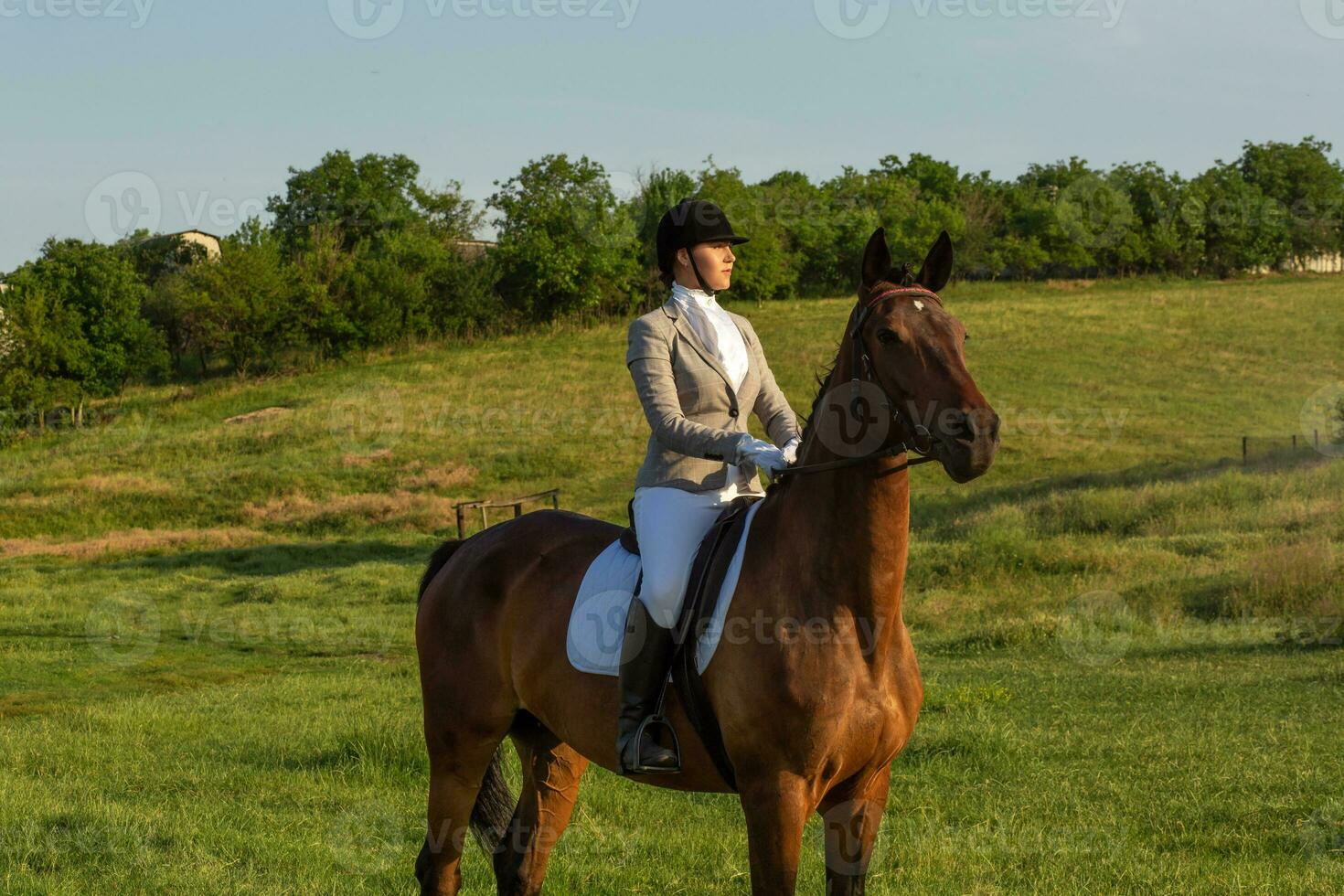 jovem mulher equitação uma cavalo em a verde campo foto