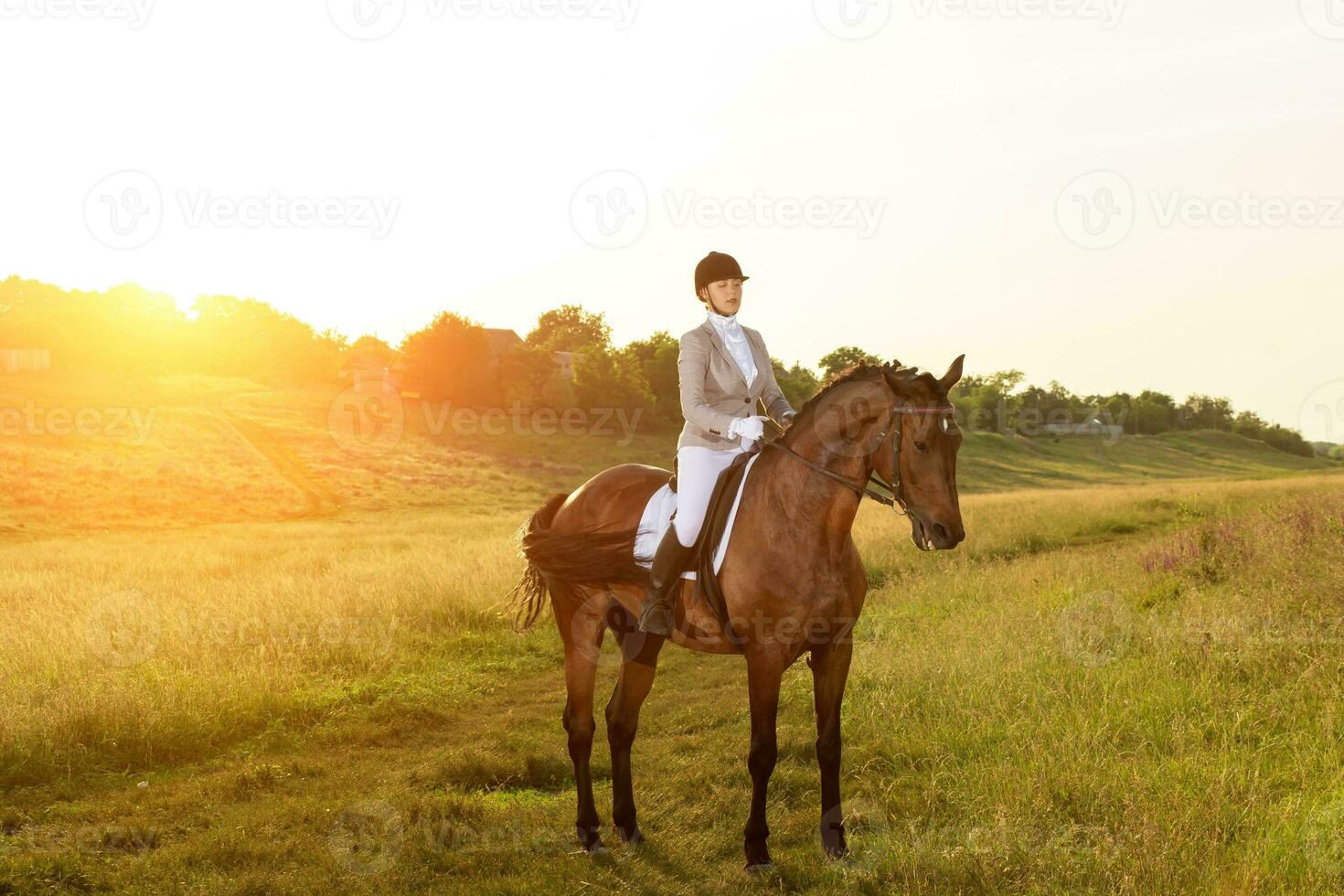 equestre esporte. jovem mulher equitação cavalo em adestramento avançado teste foto