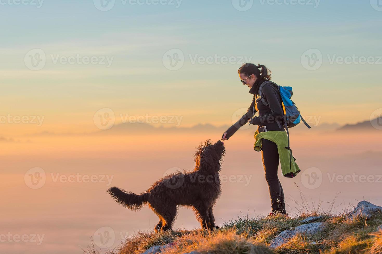 comida para o cachorro de uma garota durante uma excursão nas montanhas foto