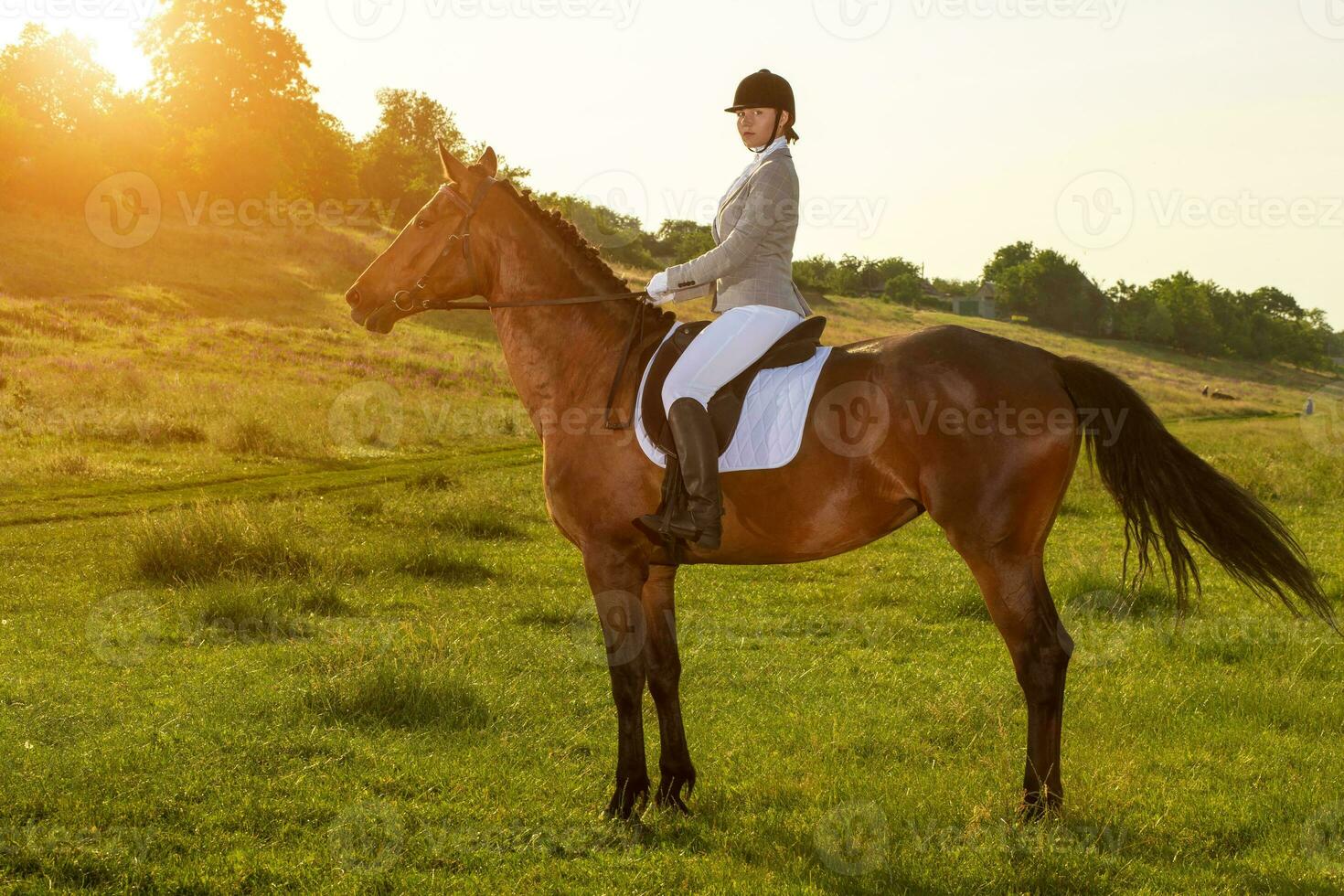 jovem mulher equitação uma cavalo em a verde campo foto