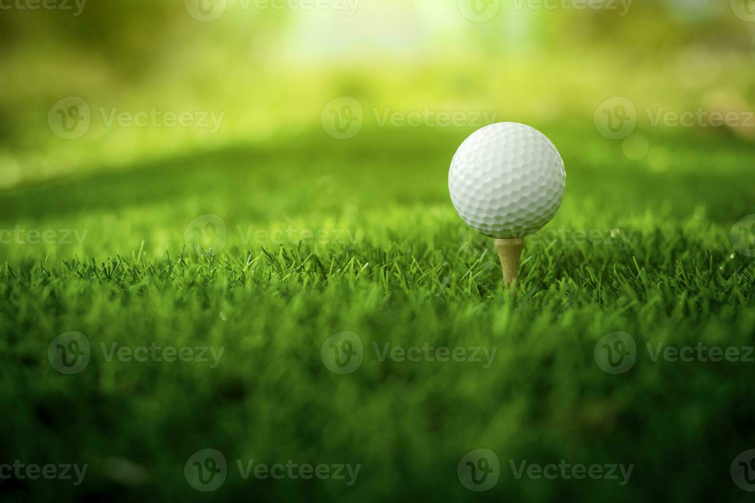 golfe bola fechar acima em tee Relva em borrado lindo panorama do golfe fundo. conceito internacional esporte este contar com em precisão Habilidades para saúde relaxamento. foto