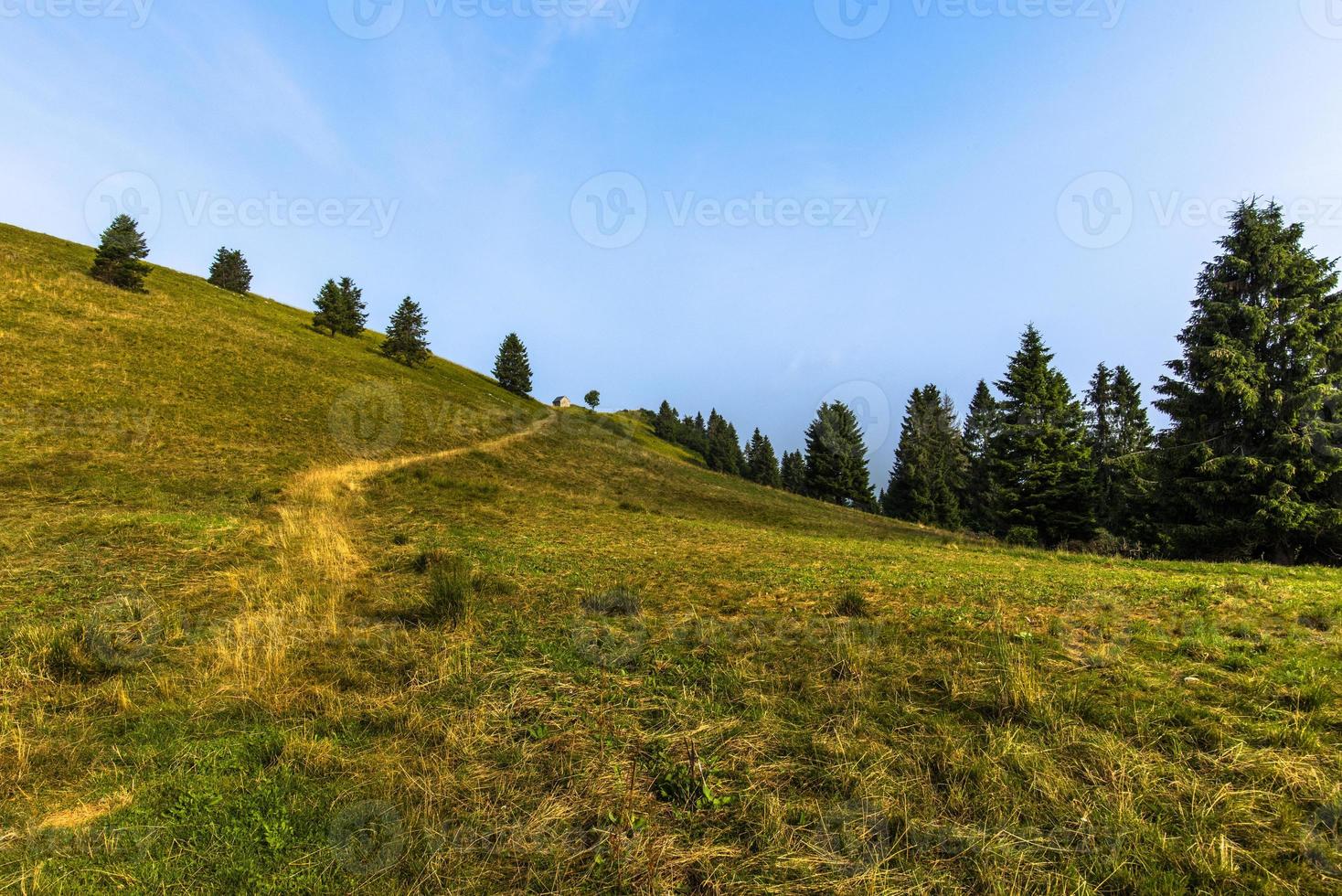 2021 07 23 revine lago path entre os prados foto