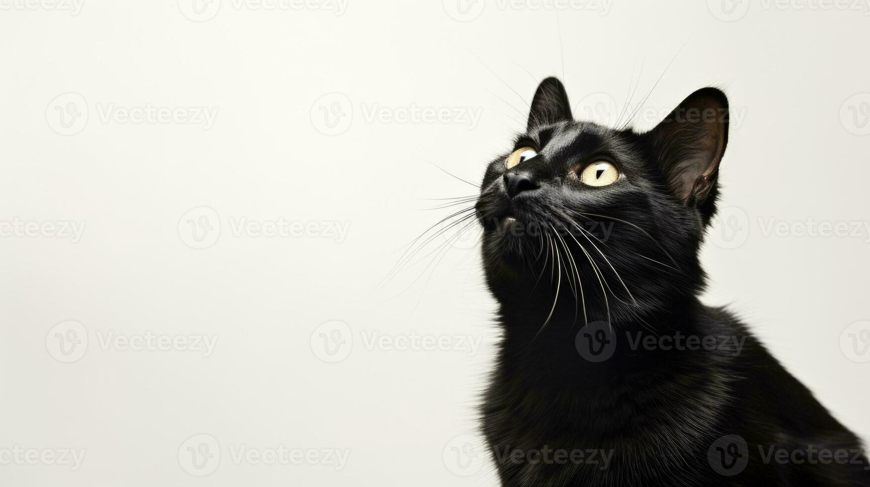ai gerado Preto gato animal retrato fotografia, ai foto