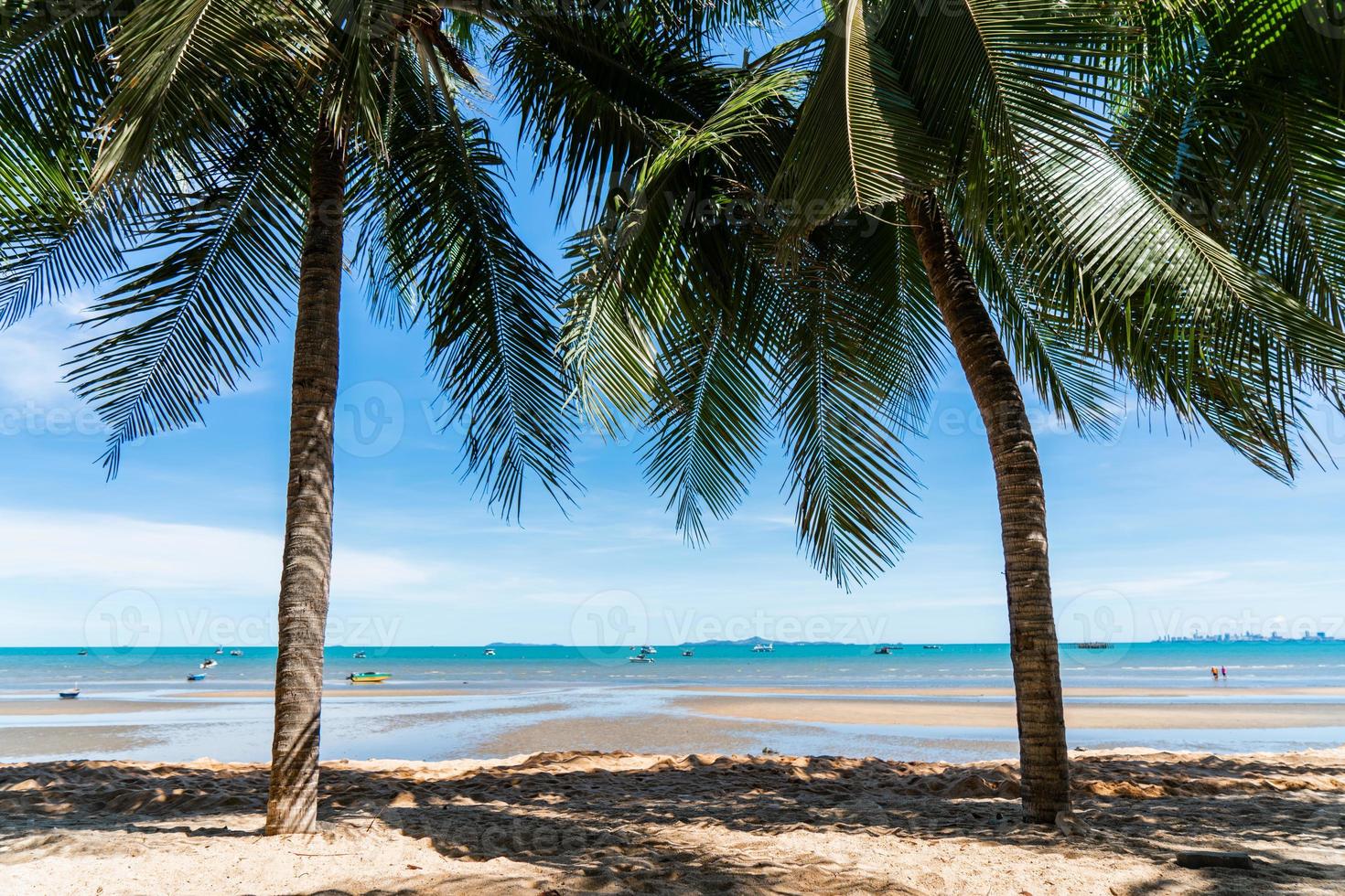 coqueiro e paisagem de praia com céu azul para férias de verão foto