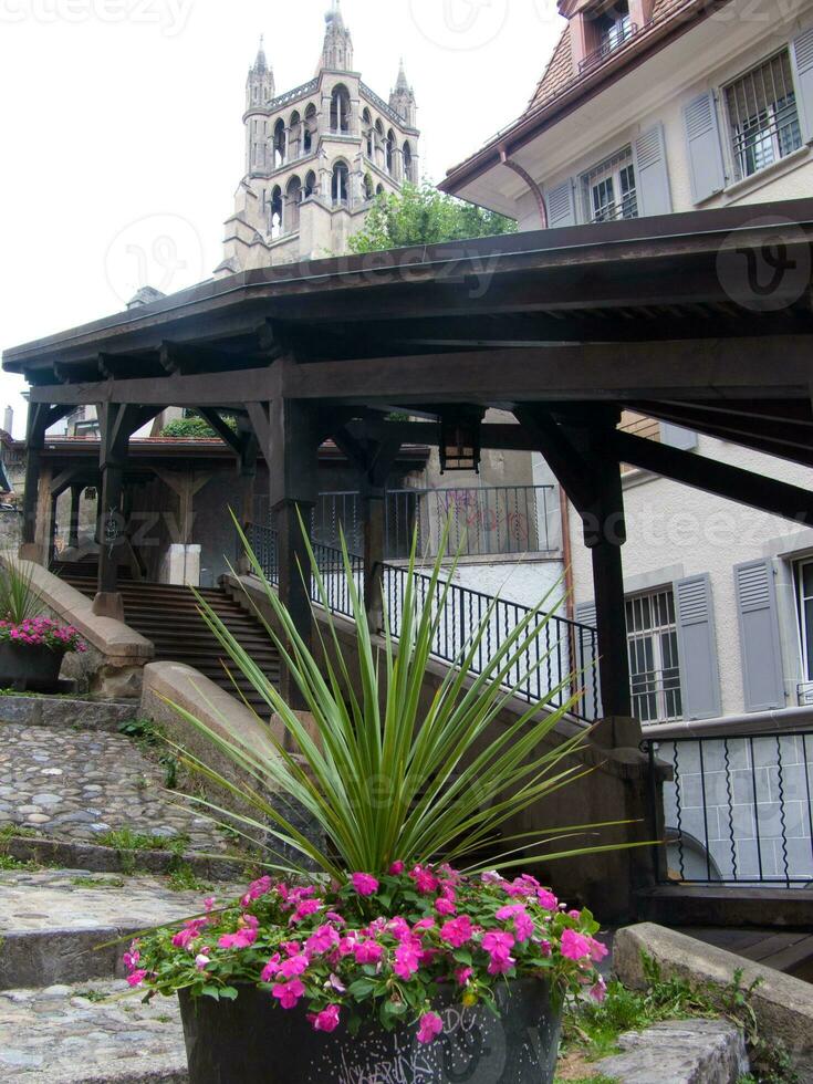 uma ponte de madeira foto