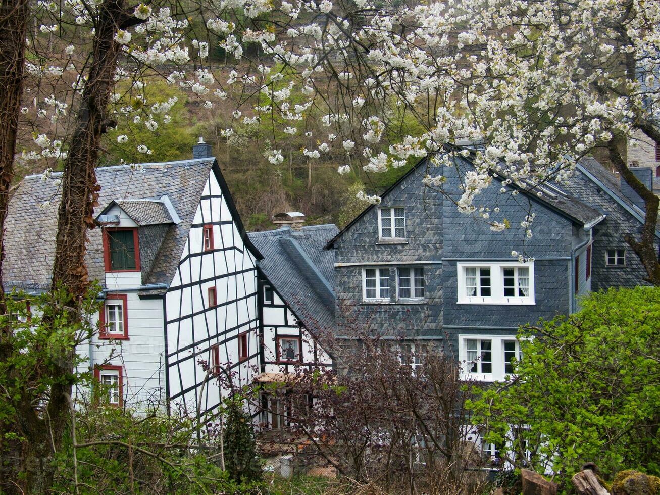 uma árvore com branco flores foto