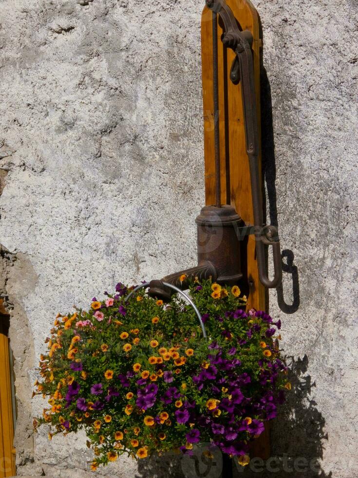 uma flor cesta suspensão a partir de uma parede foto