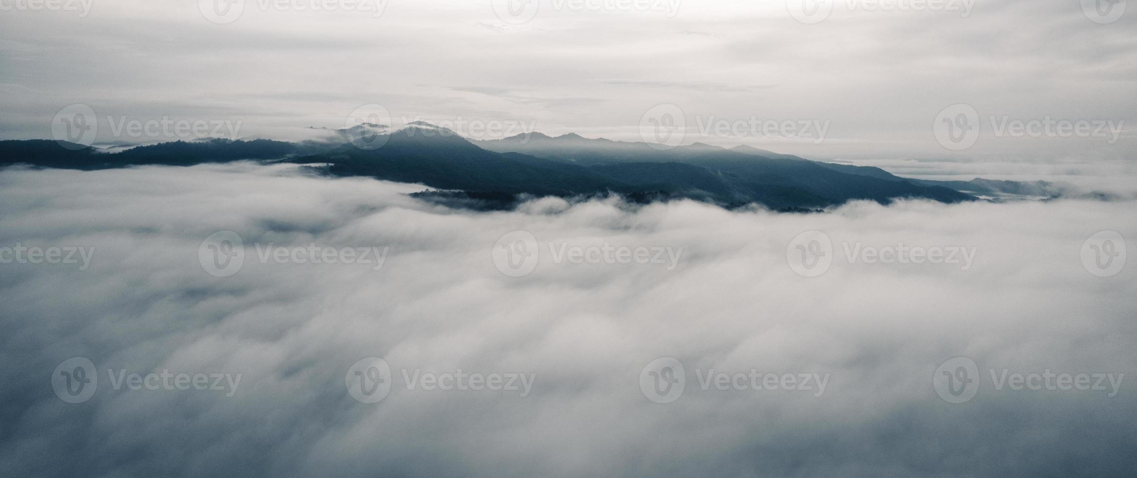 vista de alto ângulo da floresta e nevoeiro pela manhã foto