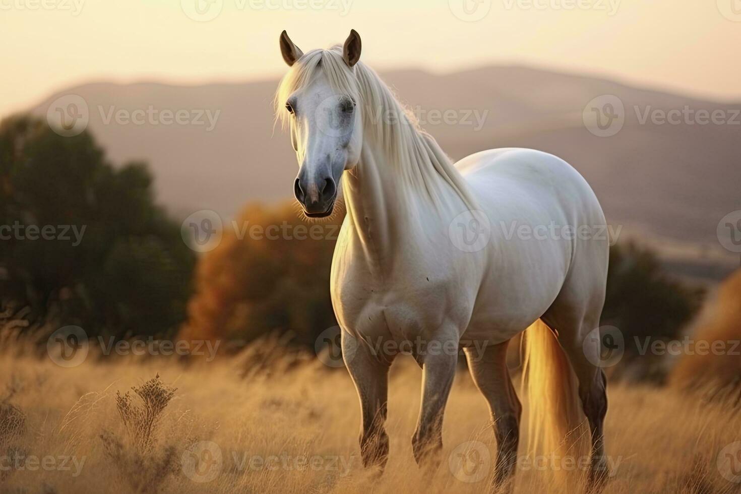 ai gerado branco cavalo ou égua dentro a montanhas às pôr do sol. ai gerado foto
