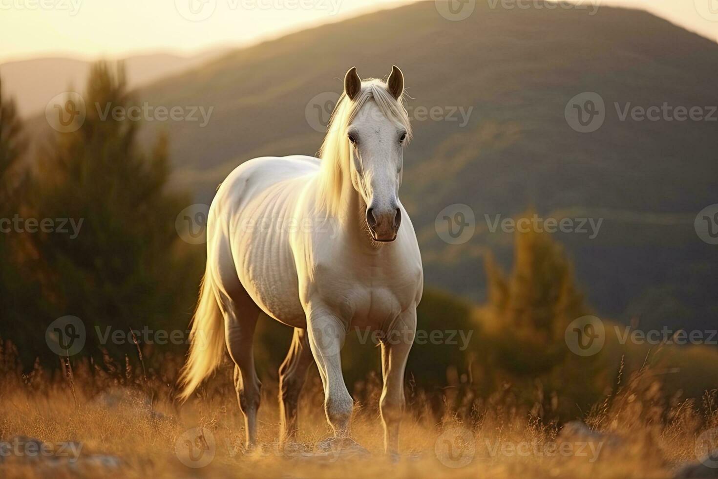 ai gerado branco cavalo ou égua dentro a montanhas às pôr do sol. ai gerado foto