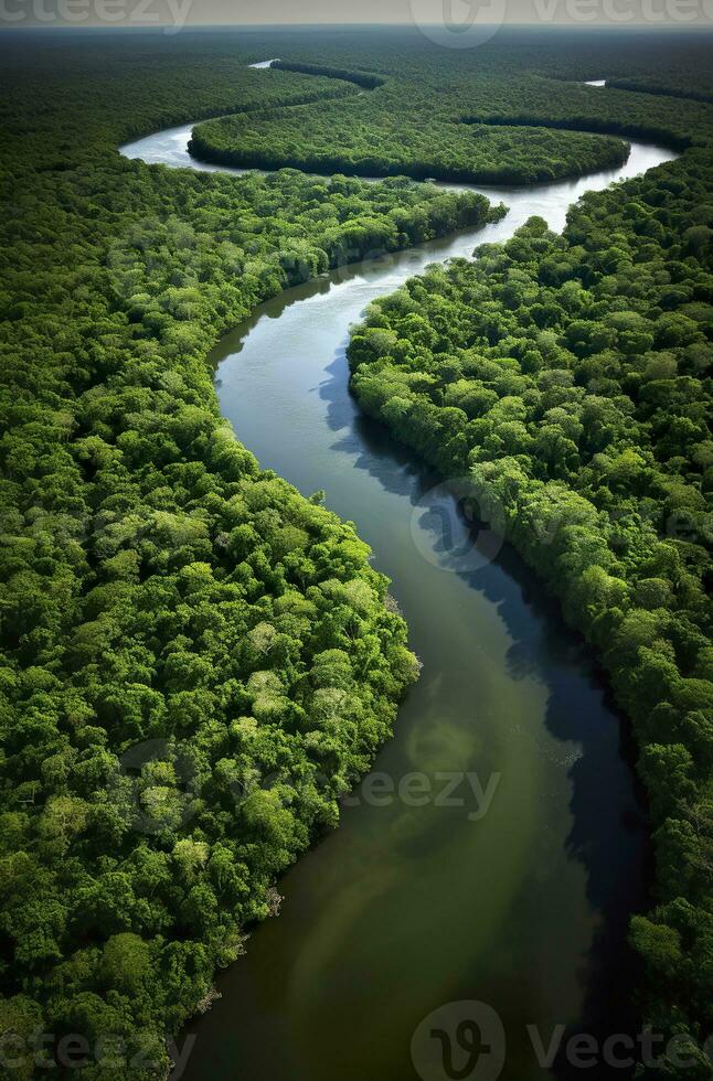 ai gerado aéreo Visão do a amazonas selva panorama com rio dobrar. generativo ai foto