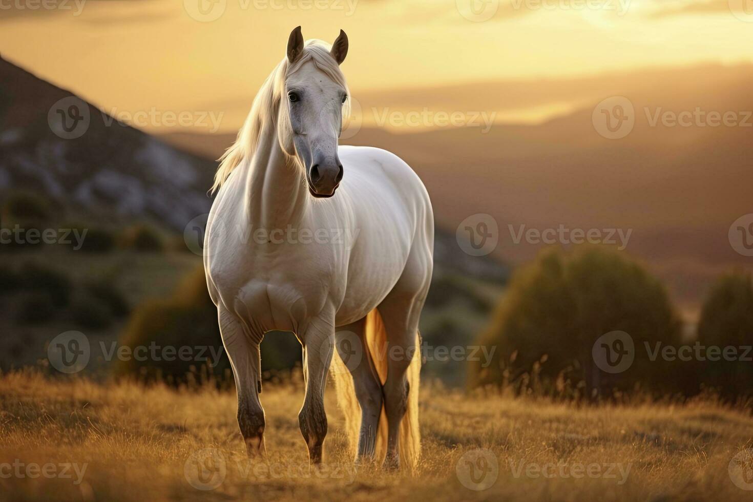 ai gerado branco cavalo ou égua dentro a montanhas às pôr do sol. ai gerado foto