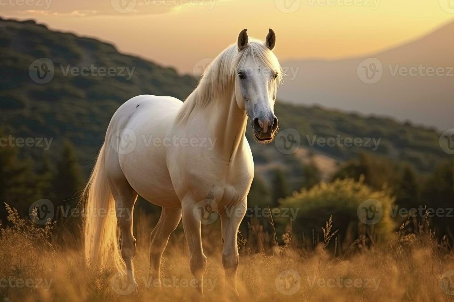 ai gerado branco cavalo ou égua dentro a montanhas às pôr do sol. ai gerado foto