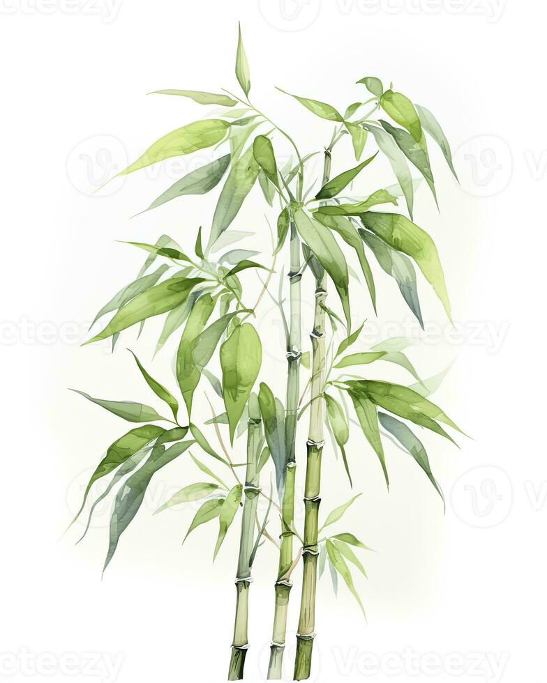 ai gerado aguarela bambu clipart isolado em branco fundo. ai gerado foto