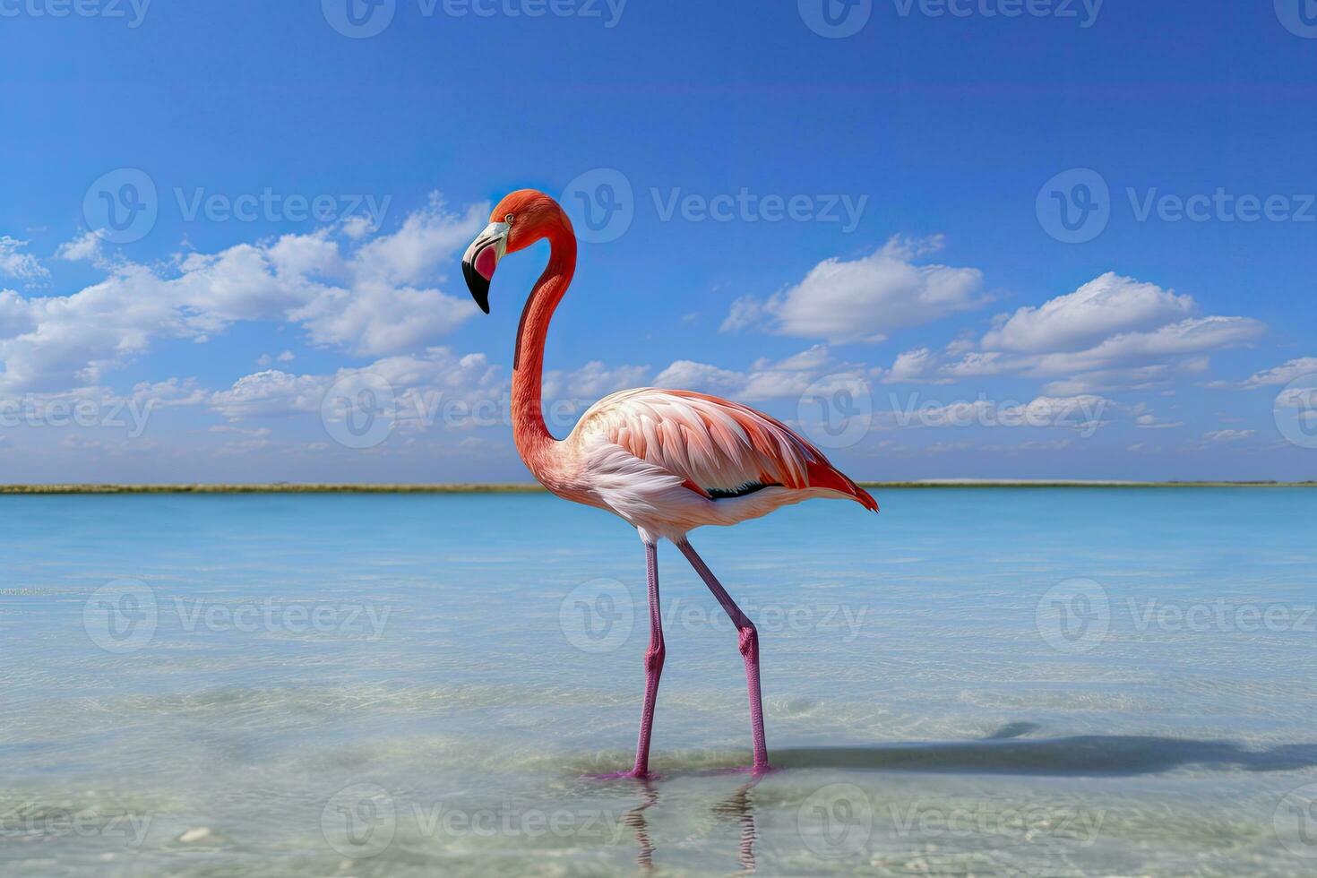 ai gerado Rosa flamingo dentro a água. ai gerado foto