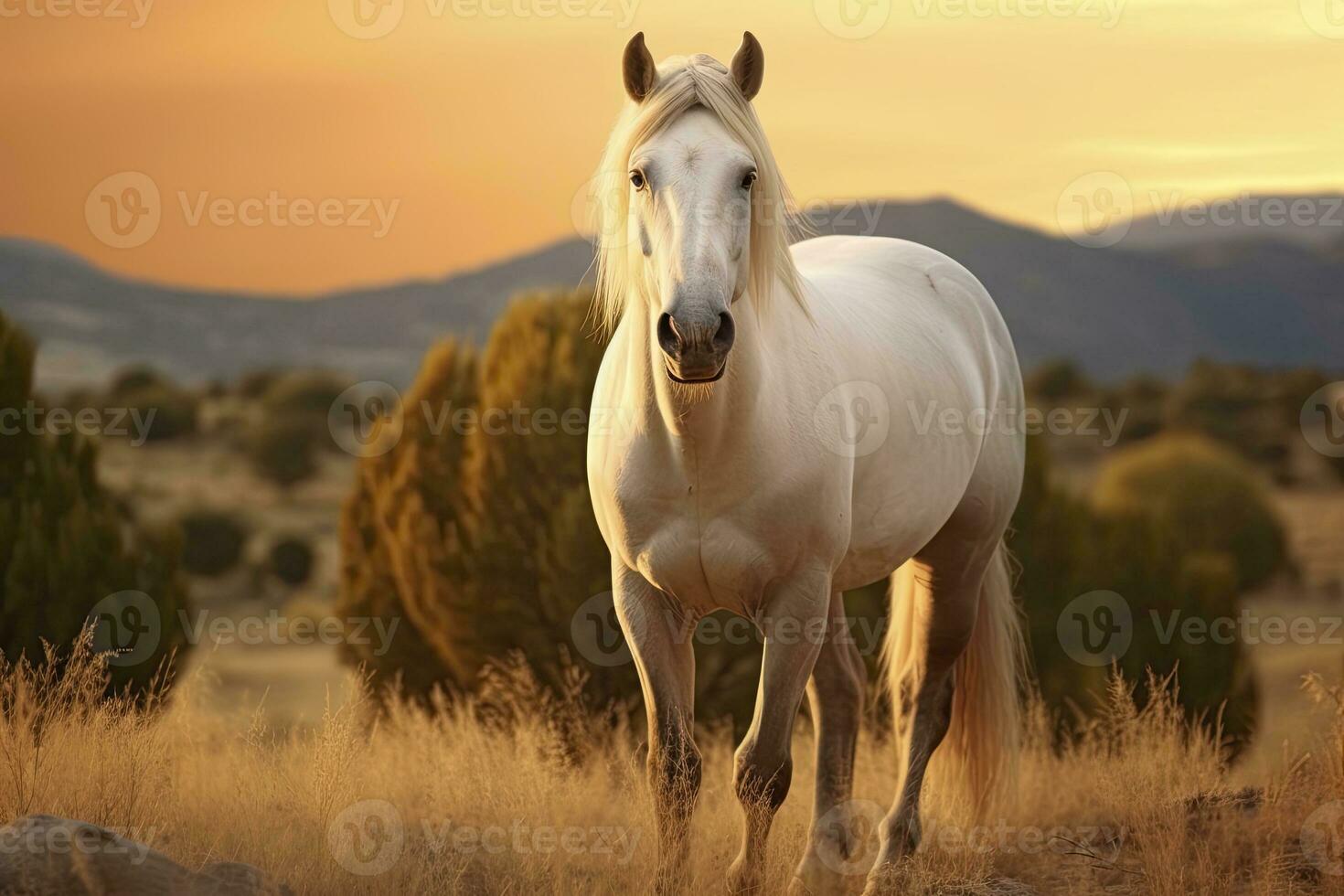 ai gerado branco cavalo ou égua dentro a montanhas às pôr do sol. ai gerado foto