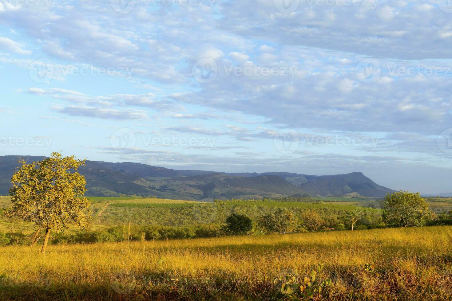 serra da canastra paisagem montanhosa, minas gerais estado, Brasil foto