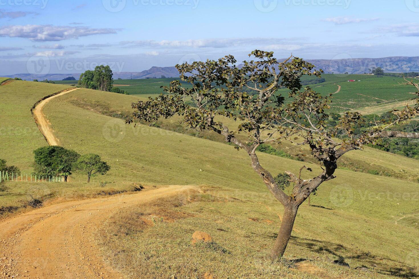 serra da canastra paisagem, são roque das minas, minas gerais estado, Brasil foto